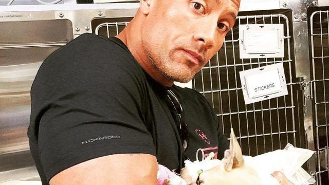 Dwayne Johnson dog