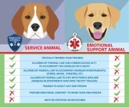 What Animals Can You Have As A Service Animal At Betty Lopez Blog