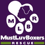 MustLuvBoxers_640x420.jpg