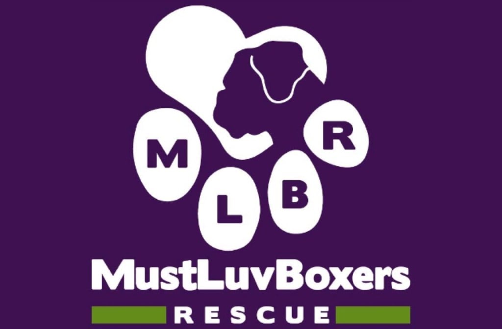 MustLuvBoxers_640x420.jpg