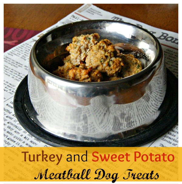 Dog Food Recipes