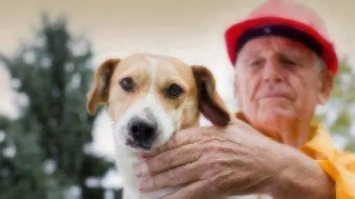 Hurrican Matthew Pet Preparedness