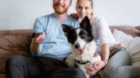 couple watching TV with their dog.