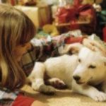 little girl petting white dog next to christmas tree