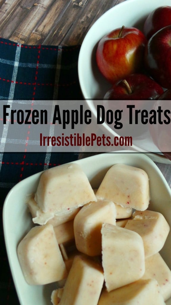 dog treat recipes