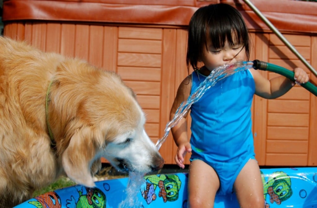 dog_breeds_kids_640x420.jpg