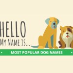 most popular dog names graphic