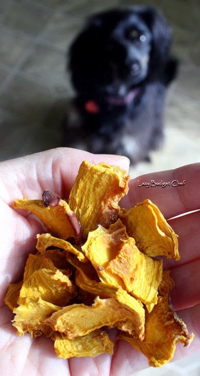 pumpkin dog treat recipes