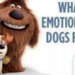 what-emotions-do-dogs-feel